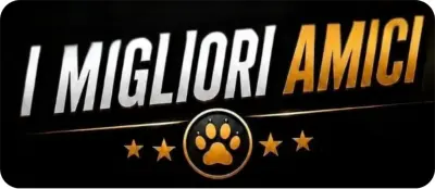 I Migliori Amici